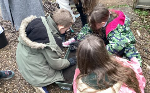 Gardening activities